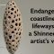 Endangered coastlines and lifeways — a Shinnecock artist’s view