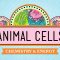 Eukaryopolis – The City of Animal Cells: Crash Course Biology #4