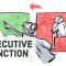 Executive Function: Your Brain’s Control Center