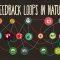 Feedback loops: How nature gets its rhythms – Anje-Margriet Neutel