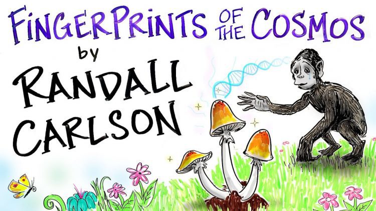 FINGERPRINTS of the COSMOS – Randall Carlson – A Fireside Talk