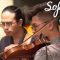 Flame of the Forest – Tree of Life | Sofar Singapore