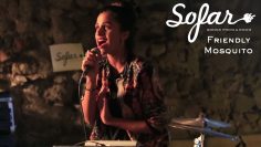 Friendly Mosquito – Tales of Eastern Nights | Sofar Tbilisi