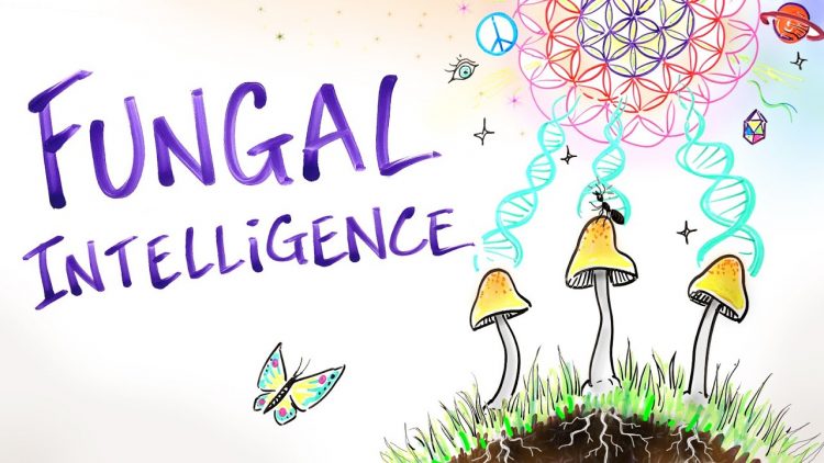 Fungal Intelligence – Conscious Mushrooms, Zombie Ants & The Hidden Wisdom of Nature