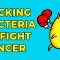 Hacking bacteria to fight cancer – Tal Danino