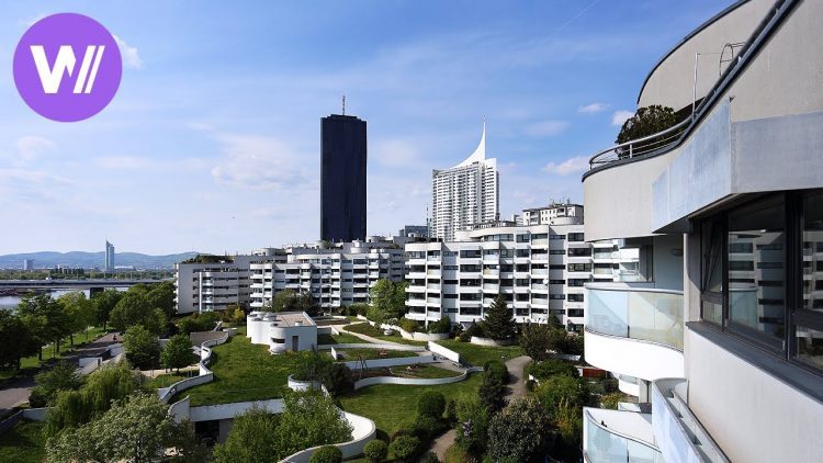 Harry Seidler: Modernist | Australias most prominent and controversial Bauhaus architect