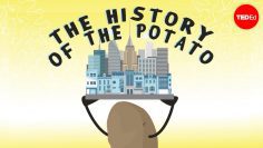 History through the eyes of the potato – Leo Bear-McGuinness