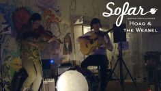 Hoag & the Weasel – To the Land | Sofar Worcester, MA