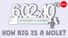 How big is a mole? (Not the animal, the other one.) – Daniel Dulek