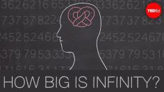 How big is infinity? – Dennis Wildfogel