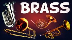 How brass instruments work – Al Cannon