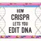 How CRISPR lets you edit DNA – Andrea M. Henle