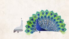 How did feathers evolve? – Carl Zimmer