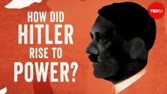 How did Hitler rise to power? – Alex Gendler and Anthony Hazard