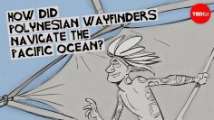 How did Polynesian wayfinders navigate the Pacific Ocean? – Alan Tamayose and Shantell De Silva