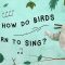 How do birds learn to sing? – Partha P. Mitra