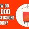 How do blood transfusions work? – Bill Schutt