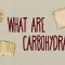 How do carbohydrates impact your health? – Richard J. Wood