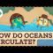 How Do Oceans Circulate? Crash Course Geography #9