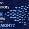 How do schools of fish swim in harmony? – Nathan S. Jacobs