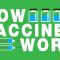 How do vaccines work? – Kelwalin Dhanasarnsombut