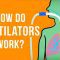 How do ventilators work? – Alex Gendler