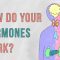 How do your hormones work? – Emma Bryce