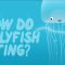 How does a jellyfish sting? – Neosha S Kashef