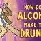 How does alcohol make you drunk? – Judy Grisel