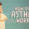 How does asthma work? – Christopher E. Gaw