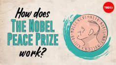 How does the Nobel Peace Prize work? – Adeline Cuvelier and Toril Rokseth