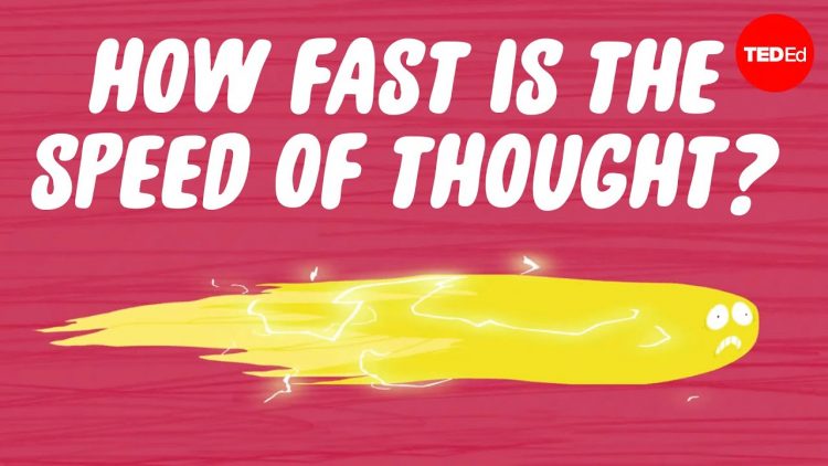 How fast is the speed of thought? – Seena Mathew