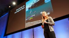 How giant sea creatures eat tiny sea creatures – Kelly Benoit-Bird