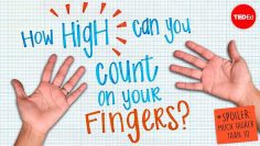 How high can you count on your fingers? (Spoiler: much higher than 10) – James Tanton