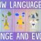 How languages evolve – Alex Gendler