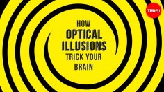 How optical illusions trick your brain – Nathan S. Jacobs