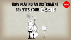 How playing an instrument benefits your brain – Anita Collins