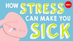 How stress affects your body – Sharon Horesh Bergquist