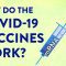 How the COVID-19 vaccines were created so quickly – Kaitlyn Sadtler and Elizabeth Wayne