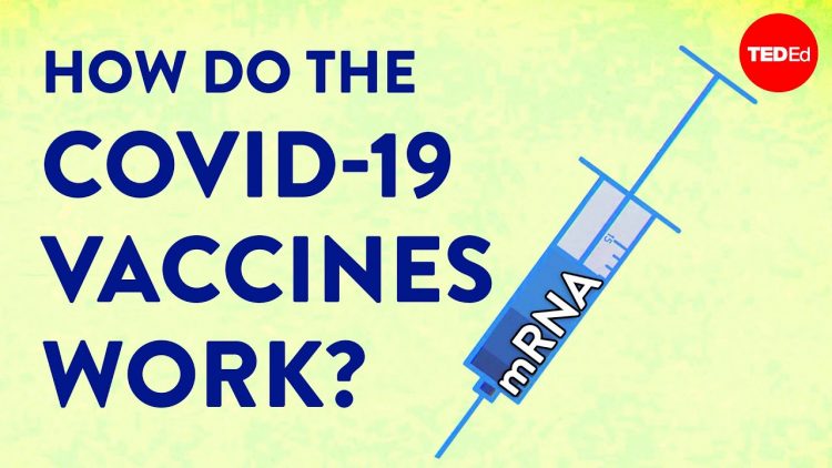 How the COVID-19 vaccines were created so quickly – Kaitlyn Sadtler and Elizabeth Wayne