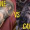 How to Photograph your Tattoos || IPHONE vs CAMERA