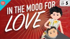 In the Mood For Love: 速成班影評 #5