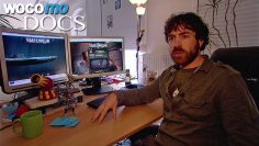 Indie-Games vs Free-to-Play-Games – The business models of the gaming industry (Documentary, 2013)