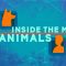 Inside the minds of animals – Bryan B Rasmussen