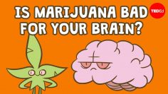 Is marijuana bad for your brain? – Anees Bahji