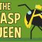 Licking bees and pulping trees: The reign of a wasp queen – Kenny Coogan