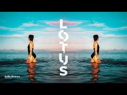 Lotus — Ason ID | 背景音乐 | 音频库发布