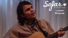 Lunar Whales – Lazy | Sofar Perth