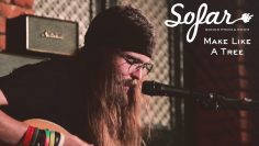 Make Like A Tree – Back To Myself | Sofar Tbilisi