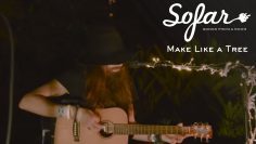 Make Like a Tree – Polar Explorer | Sofar Naples